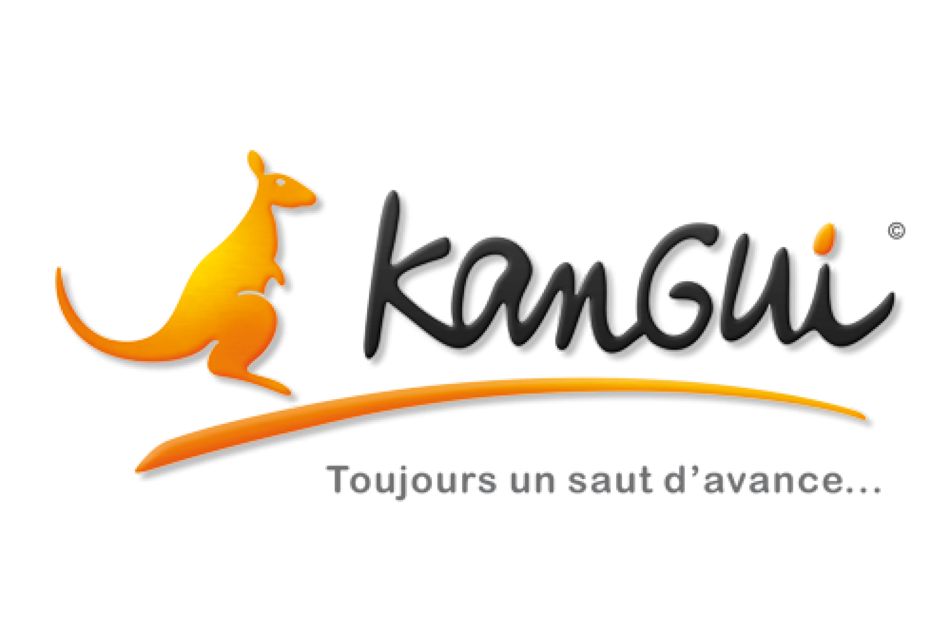 Trampoline Kangui